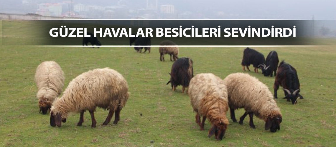 Güzel havalar besicileri sevindirdi