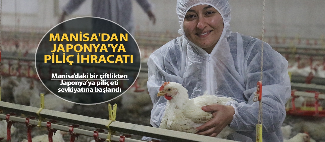Manisa'dan Japonya'ya piliç ihracatı