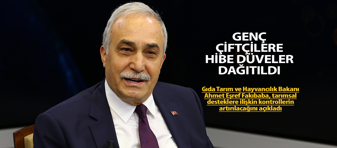 Genç çiftçilere hibe düveler dağıtıldı