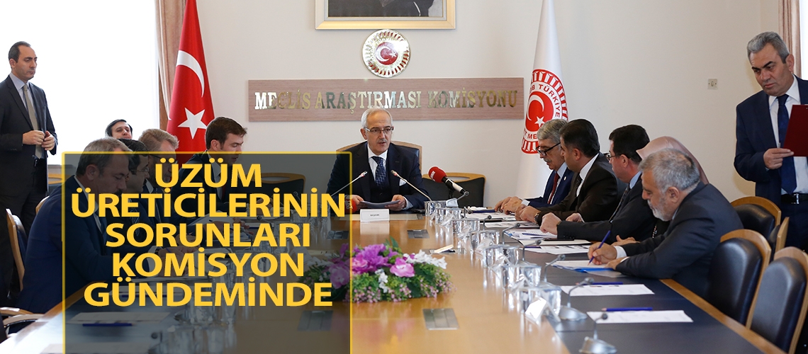 Üzüm üreticilerinin sorunları komisyon gündeminde