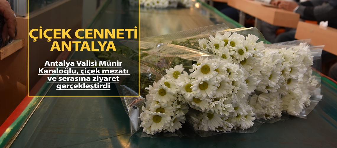 Çiçek cenneti Antalya