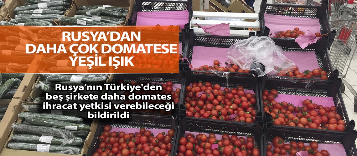 Rusya’dan daha çok domatese yeşil ışık