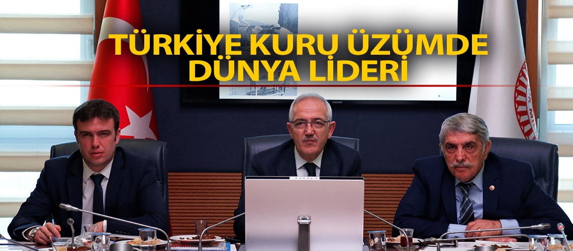 Türkiye kuru üzümde dünya lideri