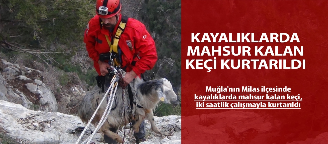 Kayalıklarda mahsur kalan keçi kurtarıldı
