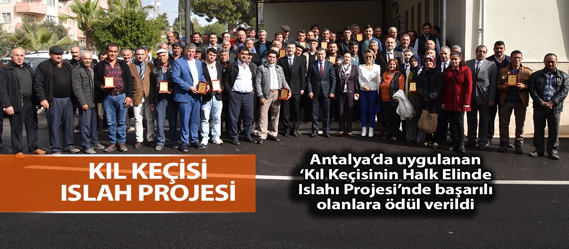 Kıl keçisi ıslah projesi