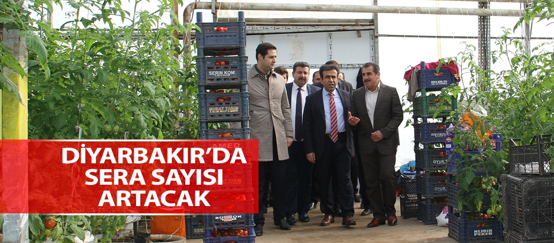 Diyarbakır’da sera sayısı artacak