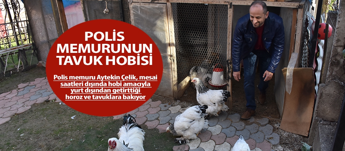 Polis memurunun tavuk hobisi