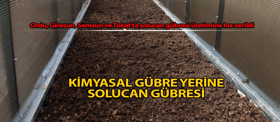 Kimyasal gübre yerine solucan gübresi