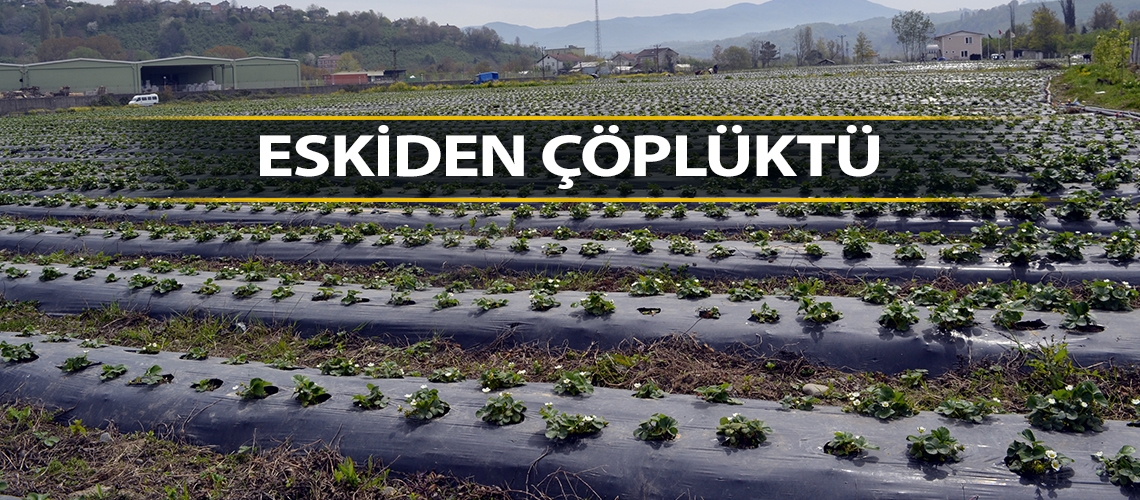 Eskiden çöplüktü