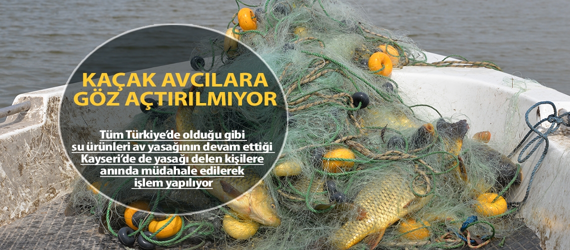 Kaçak avcılara göz açtırılmıyor