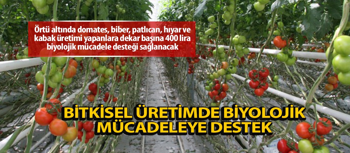 Bitkisel üretimde biyolojik mücadeleye destek