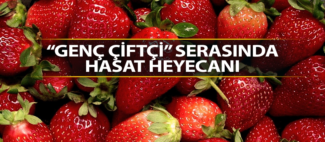 “Genç Çiftçi” serasında hasat heyecanı