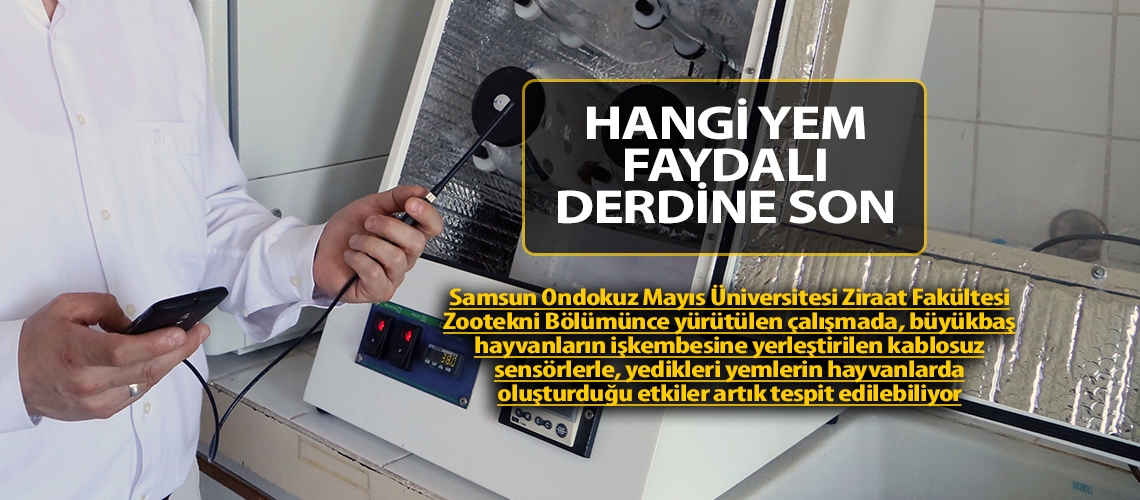 Hangi yem faydalı derdine son