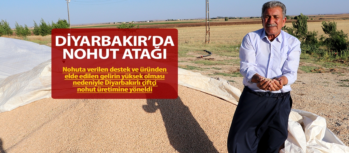 Diyarbakır’da nohut atağı