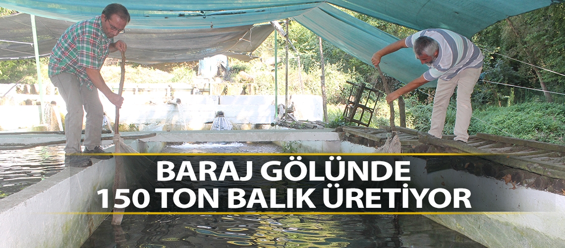 Baraj gölünde 150 ton balık üretiyor