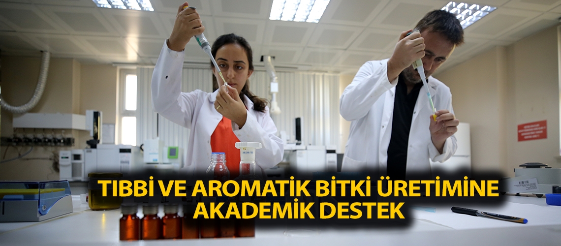 Tıbbi ve aromatik bitki üretimine akademik destek
