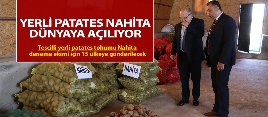 Yerli patates Nahita dünyaya açılıyor