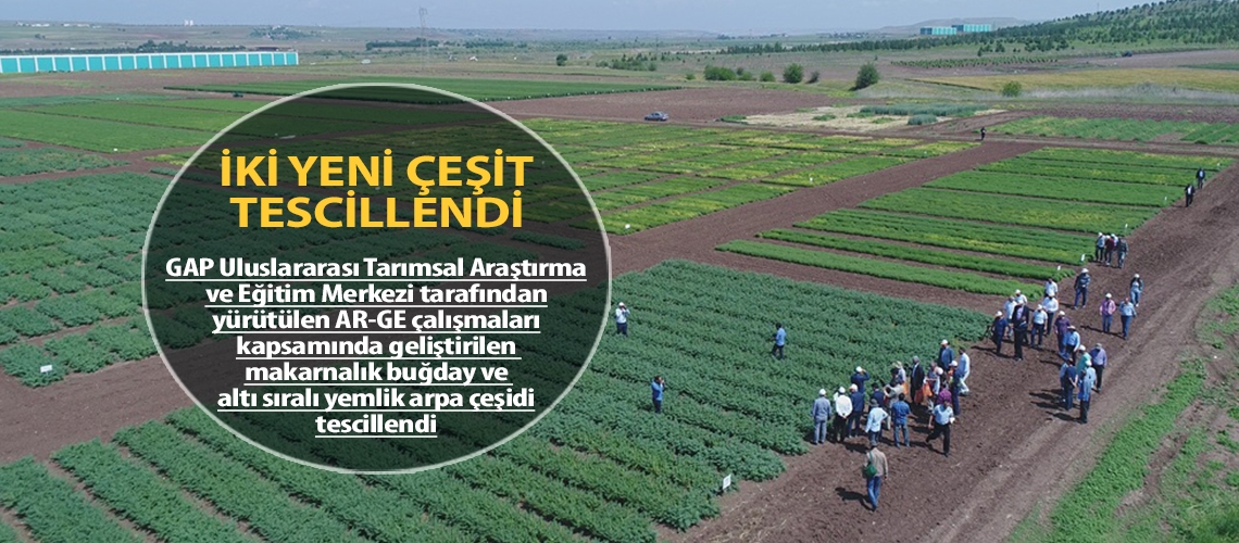 İki yeni çeşit tescillendi