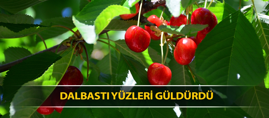 Dalbastı yüzleri güldürdü