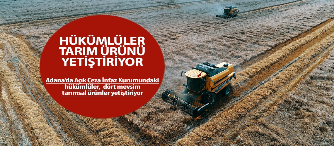 Hükümlüler tarım ürünü yetiştiriyor