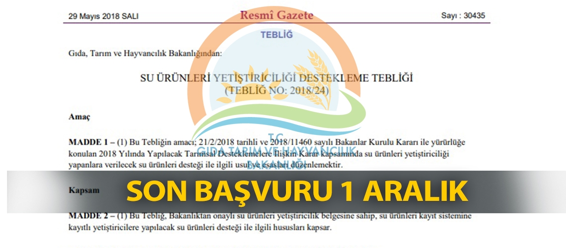 Son başvuru 1 Aralık