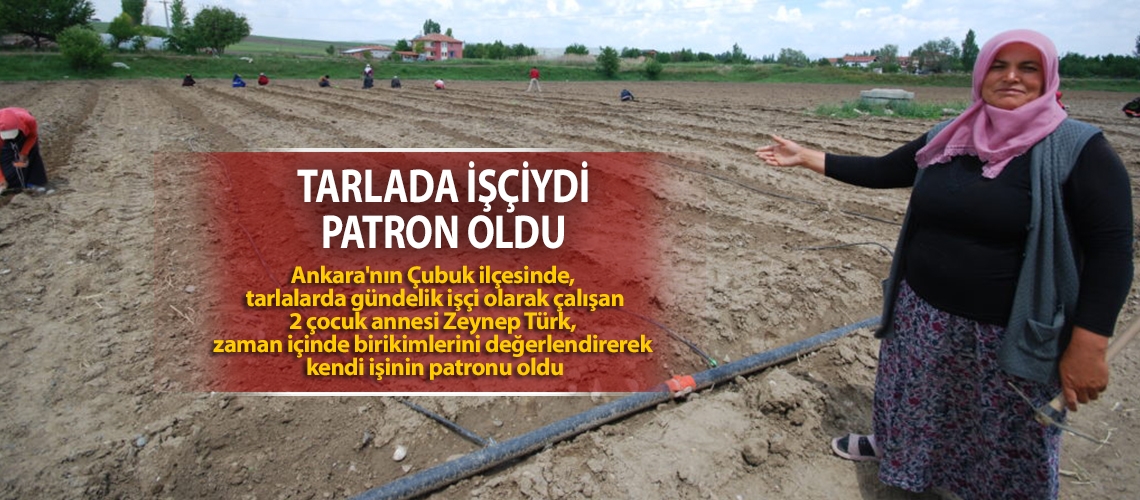 Tarlada işçiydi patron oldu