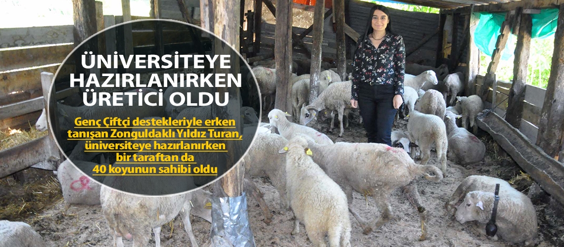 Üniversiteye hazırlanırken üretici oldu