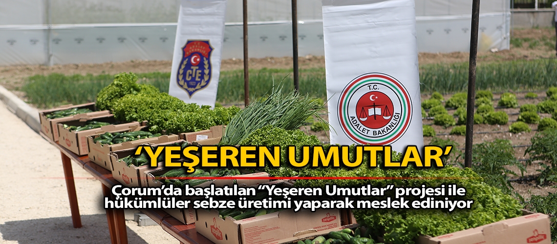 ‘Yeşeren Umutlar’