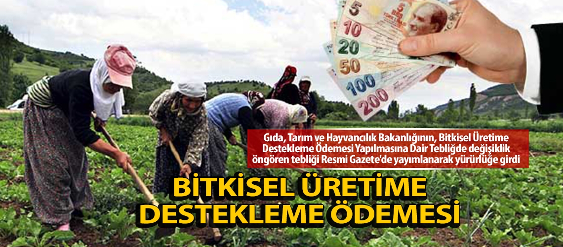 Bitkisel üretime destekleme ödemesi