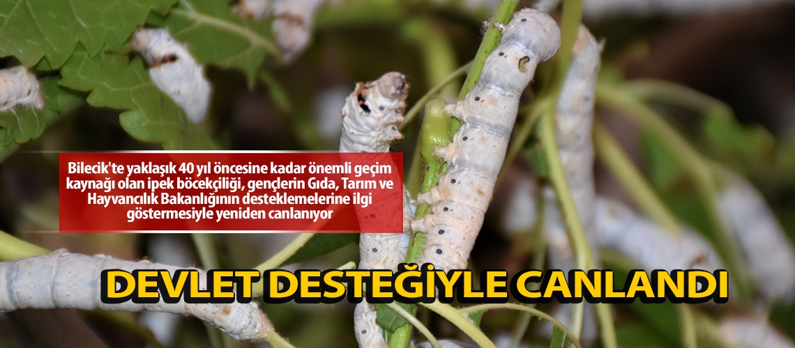 Devlet desteğiyle canlandı