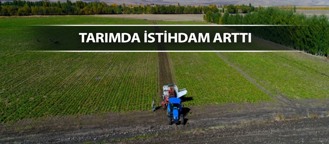 Tarımda istihdam arttı