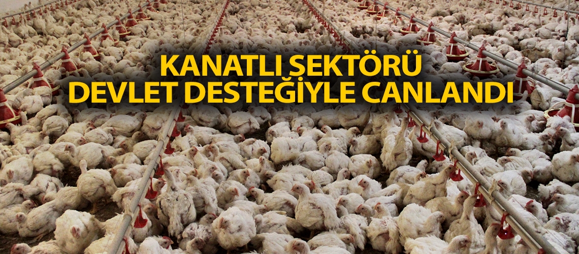 Kanatlı sektörü devlet desteğiyle canlandı