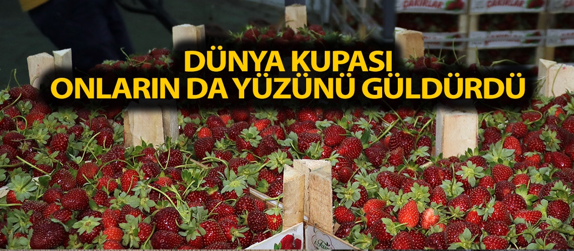 Dünya Kupası onların da yüzünü güldürdü