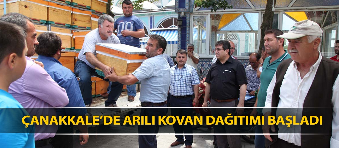 Çanakkale’de arılı kovan dağıtımı başladı