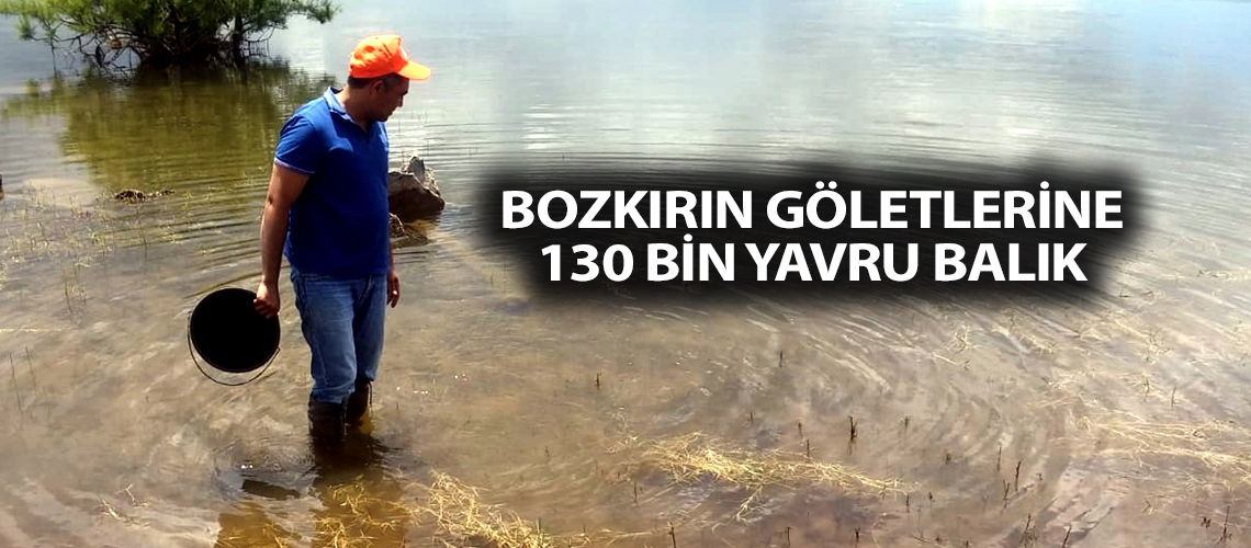 Bozkırın göletlerine 130 bin yavru balık