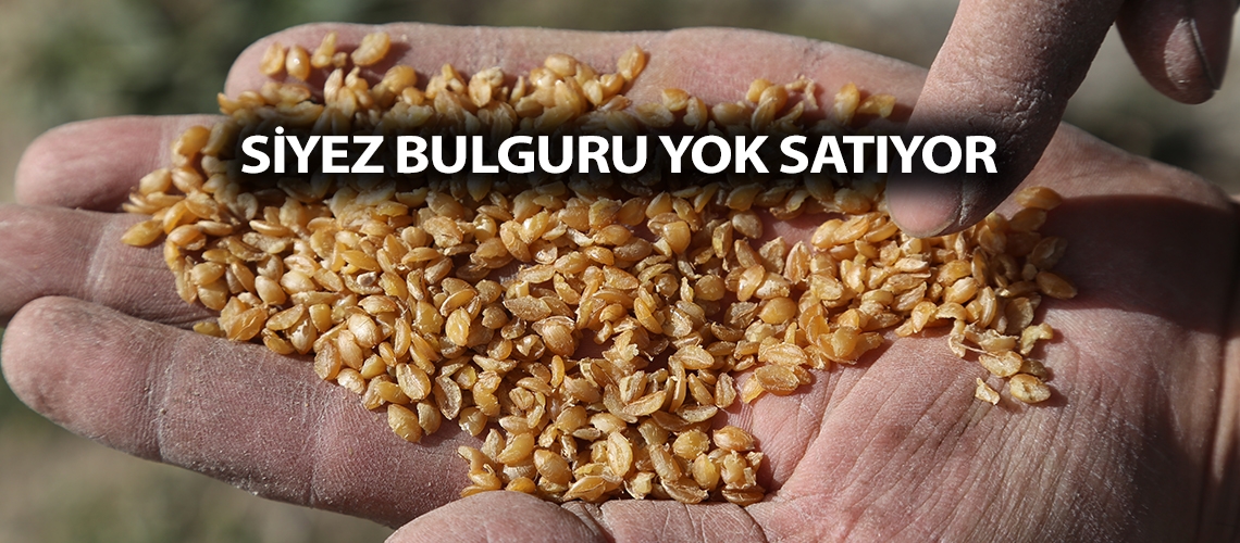 Siyez bulguru yok satıyor