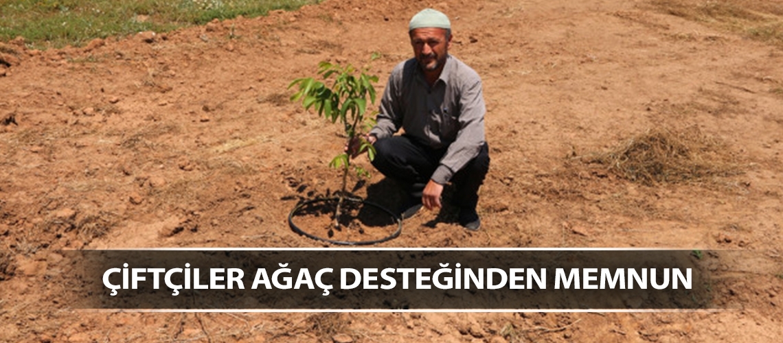 Çiftçiler ağaç desteğinden memnun