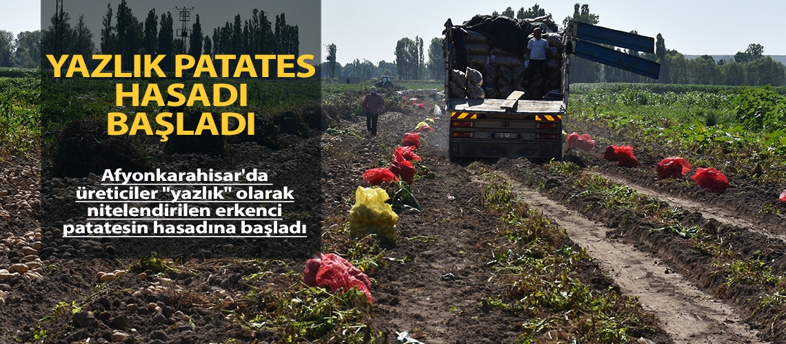 Yazlık patates hasadı başladı
