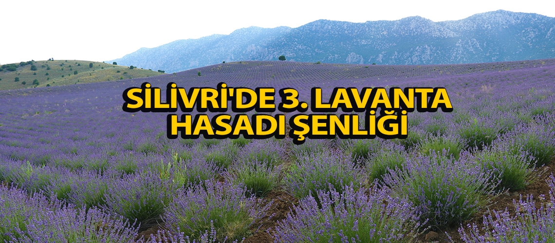 Silivri'de 3. Lavanta Hasadı Şenliği