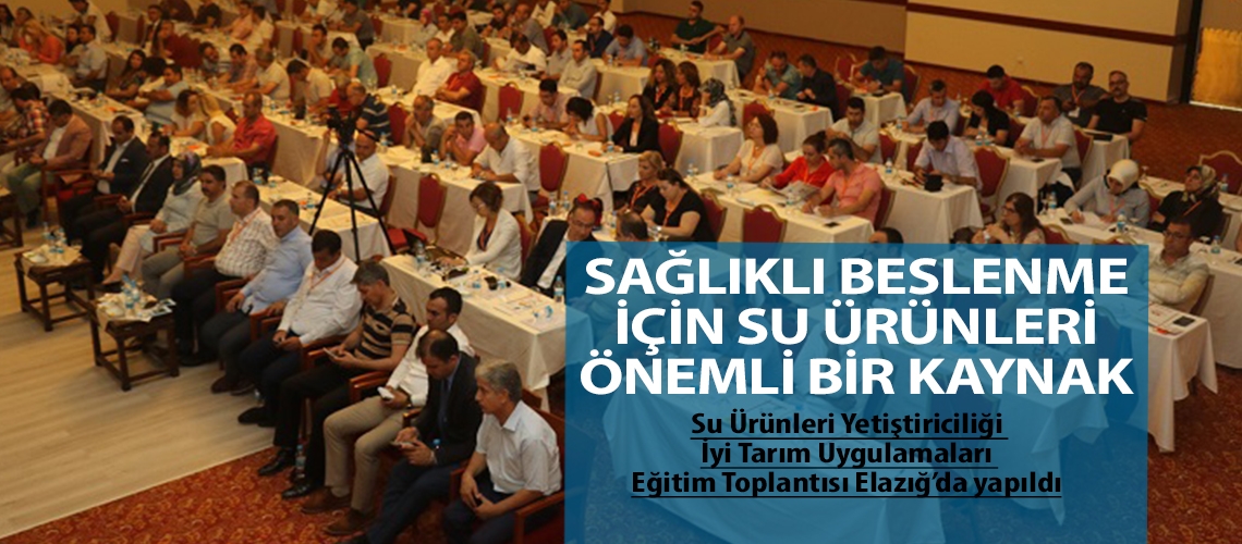 Sağlıklı beslenme için su ürünleri önemli bir kaynak