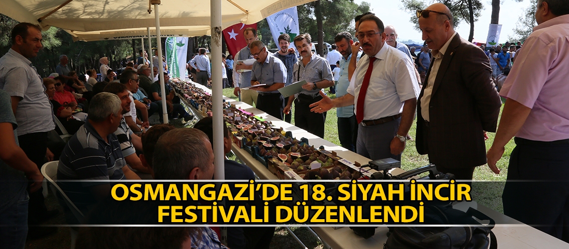Osmangazi’de 18. Siyah İncir Festivali düzenlendi