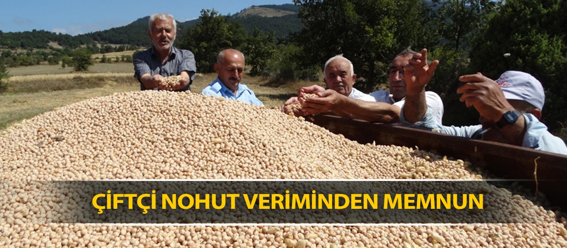 Çiftçi nohut veriminden memnun