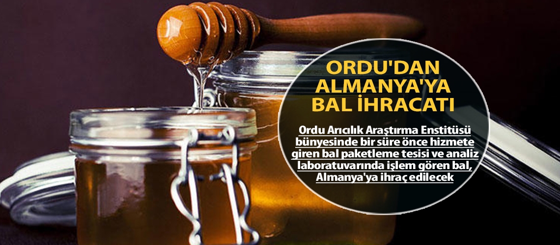 Ordu'dan Almanya'ya bal ihracatı