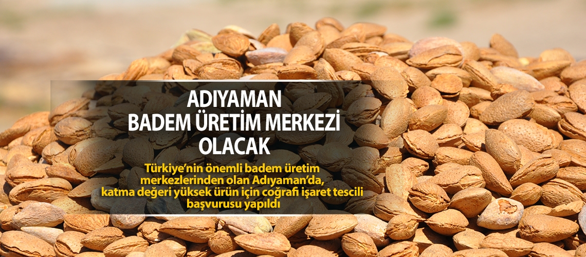 Adıyaman badem üretim merkezi olacak