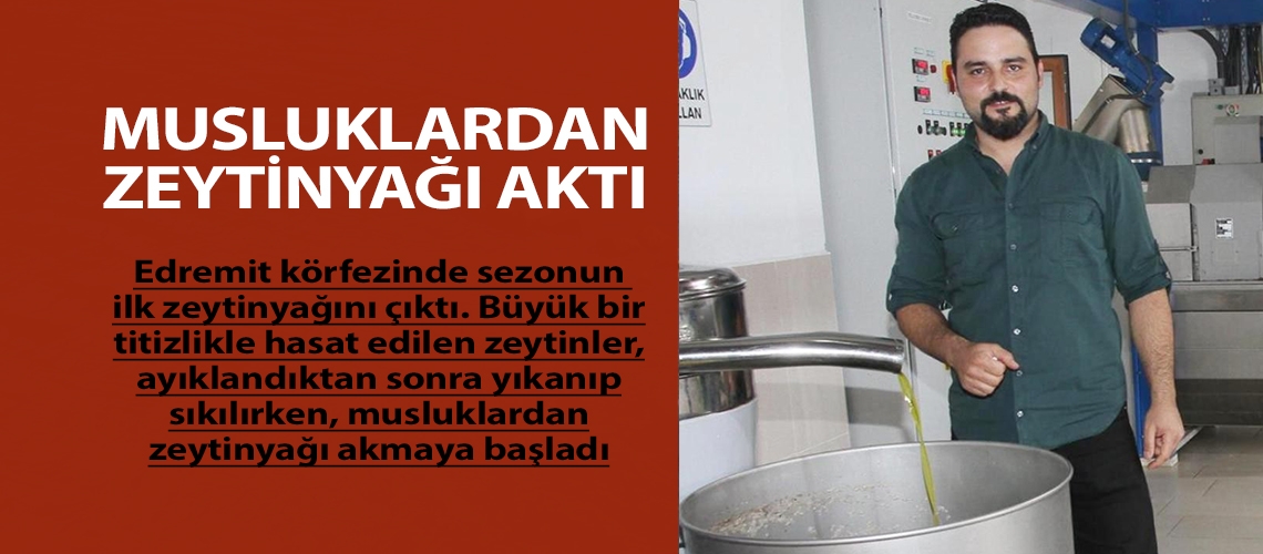 Musluklardan zeytinyağı aktı