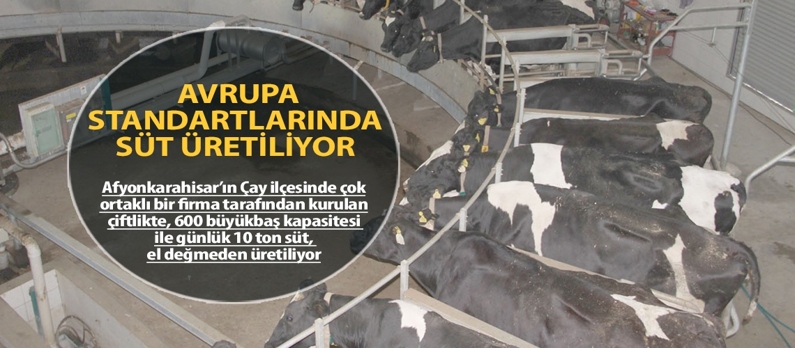 Afyonkarahisar’da Avrupa standartlarında süt üretiliyor