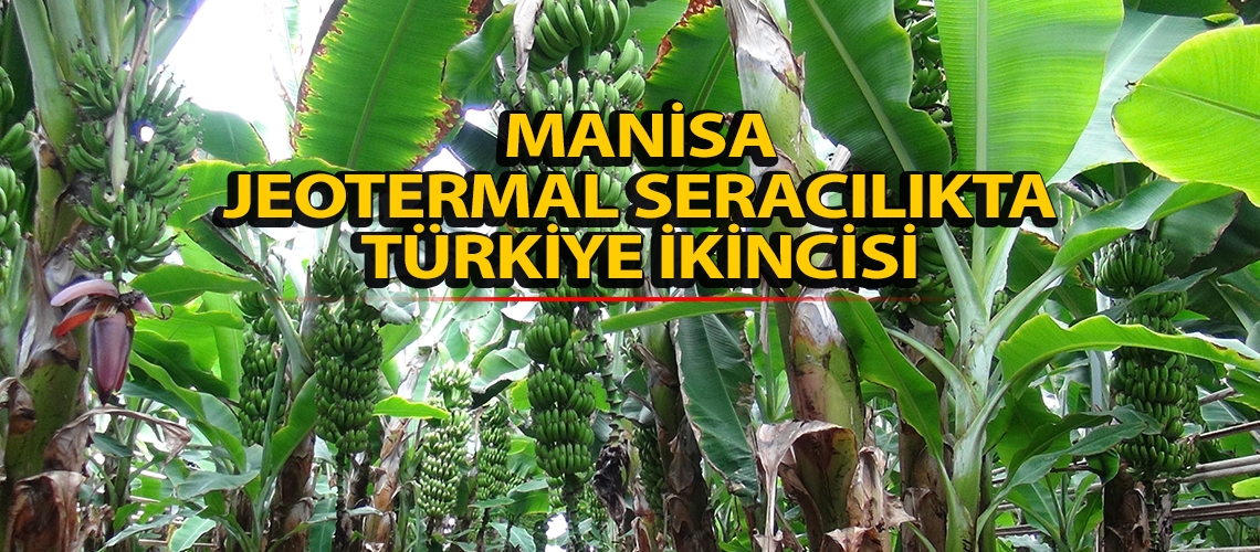 Manisa jeotermal seracılıkta 