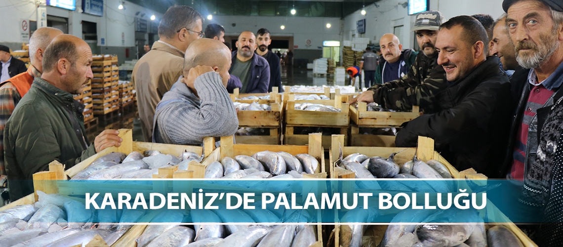 Karadeniz’de palamut bolluğu