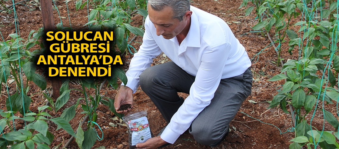 Solucan gübresi Antalya’da denendi