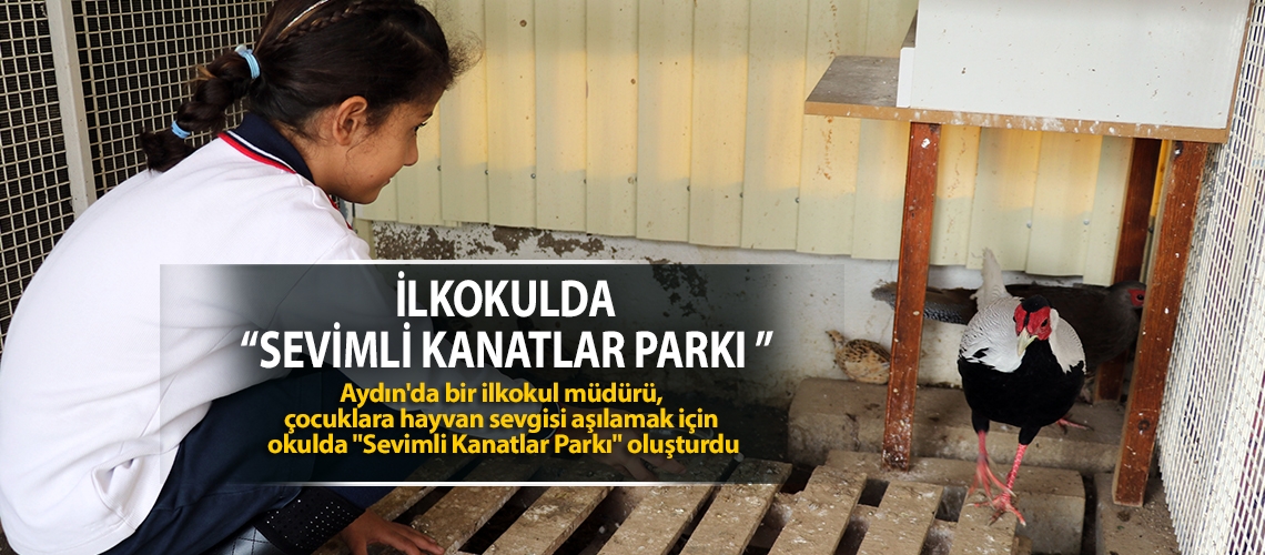 Okulda “Sevimli Kanatlar Parkı ”